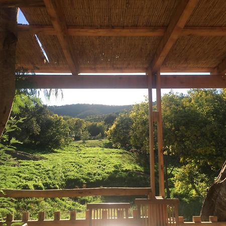 Au Paradis Des Campeurs Les Issambres Zewnętrze zdjęcie