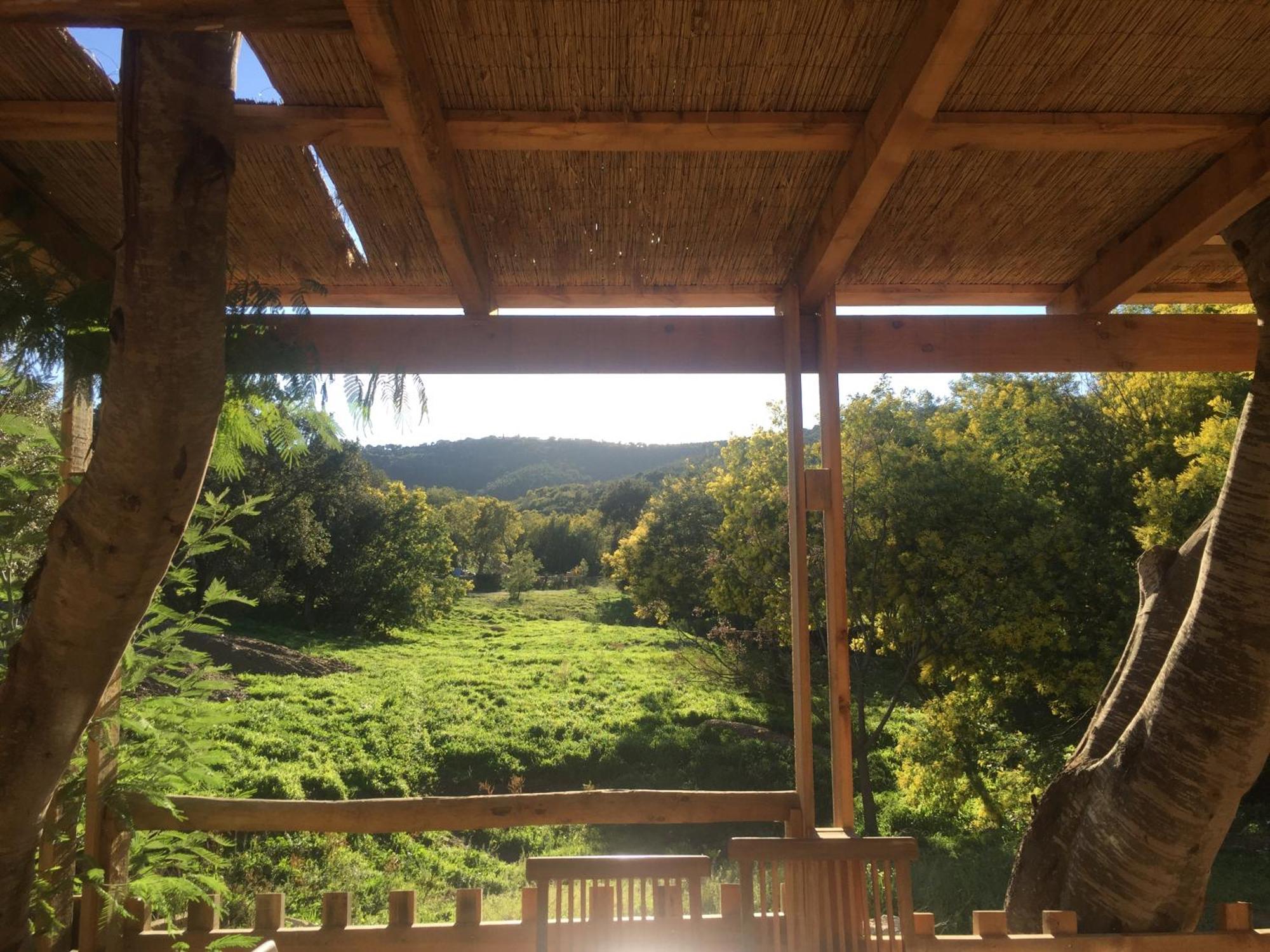 Au Paradis Des Campeurs Les Issambres Zewnętrze zdjęcie